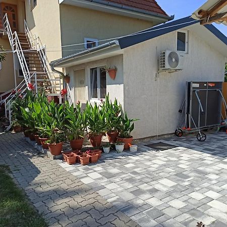 Balatonföldvár Aniko Apartmanhaz מראה חיצוני תמונה